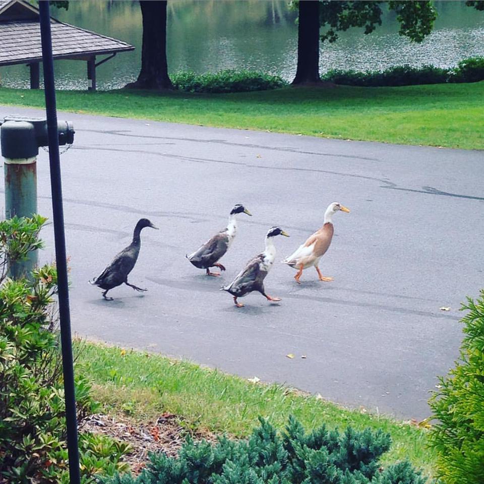 Put your best foot forward.