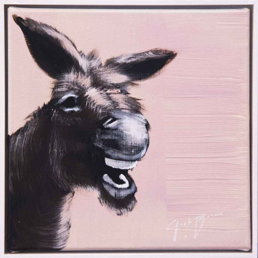 Donkey on Pink