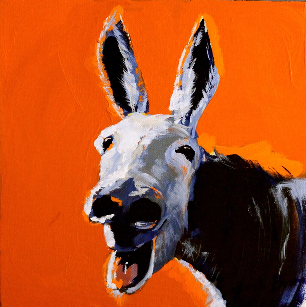 Donkey in Orange