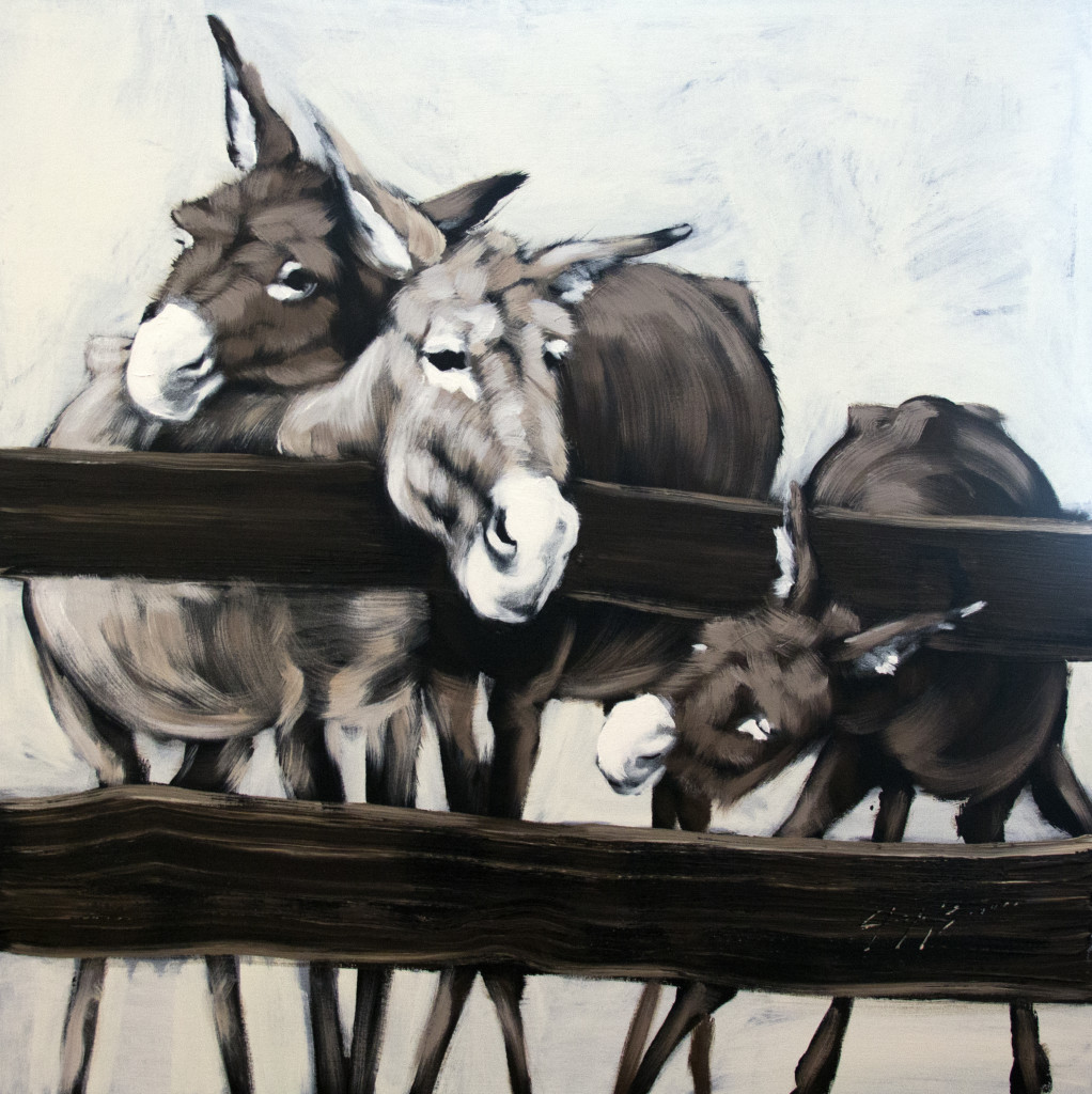 Three Donkeys Behind a Fence