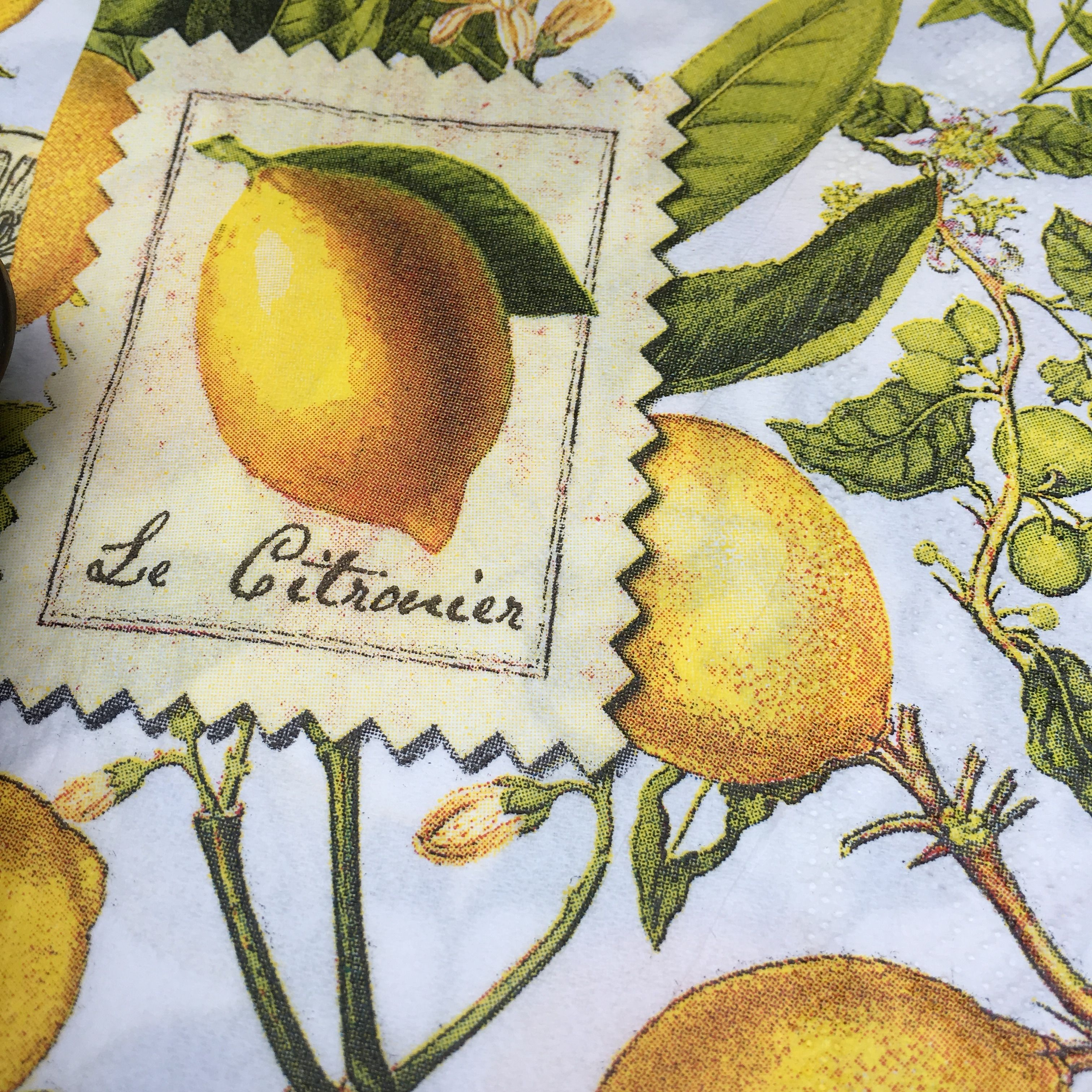 We went with these lemon napkins.