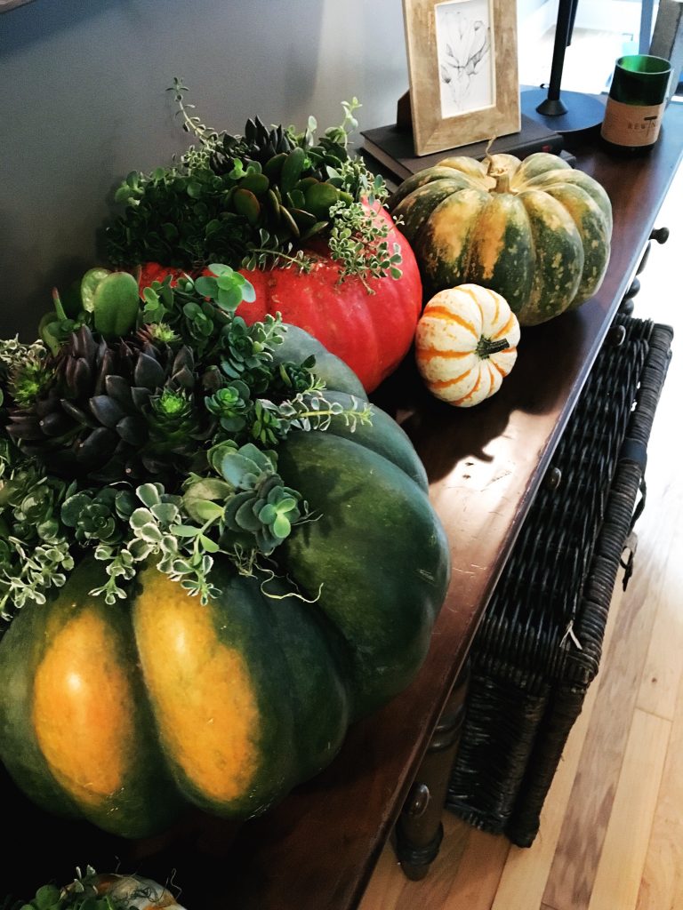 Succulent Pumpkins