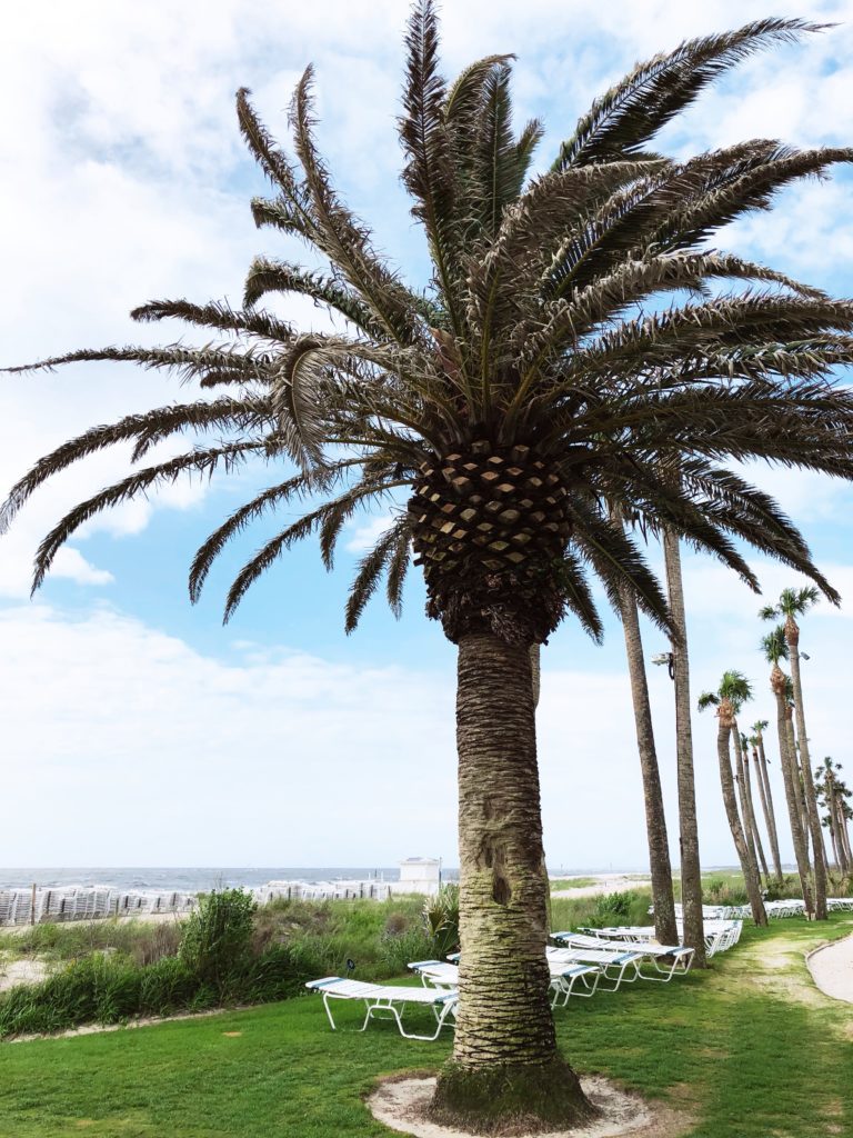 Beach Club - Sea Island
